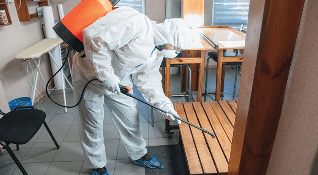 طرق مكافحة النمل الأبيض