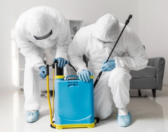 تنظيف المكاتب من الحشرات 