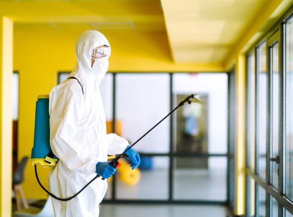 تنظيف المرافق السياحية من الحشرات