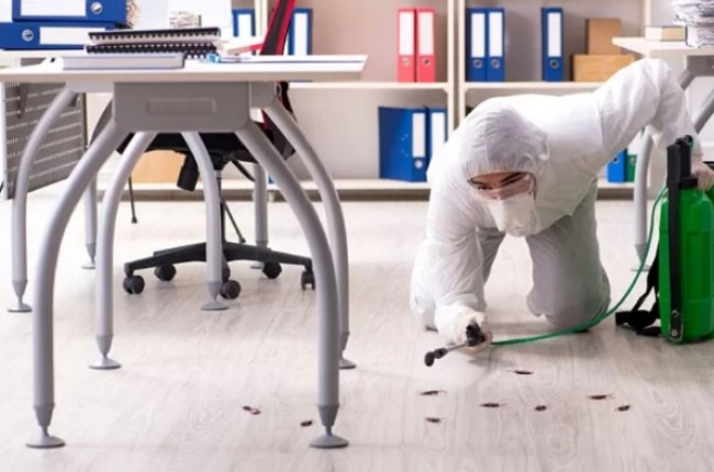  تنظيف المدارس