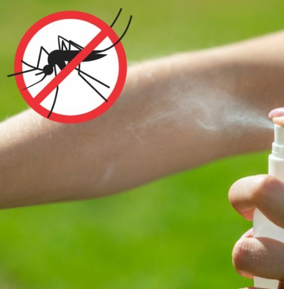 وسائل مكافحة البعوضة