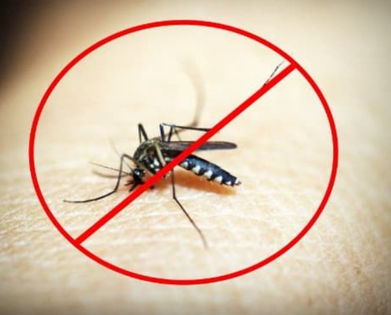 مكافحة البعوض