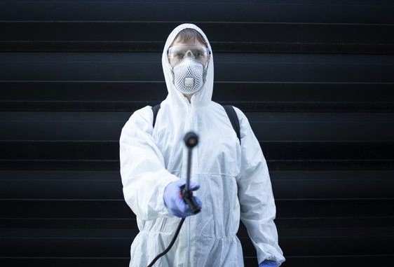 حشرة السمكة الفضية