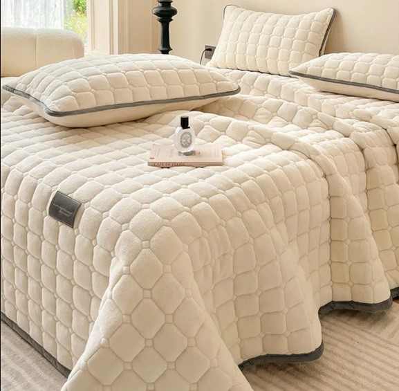 العناية بالفرش وتنظيفه