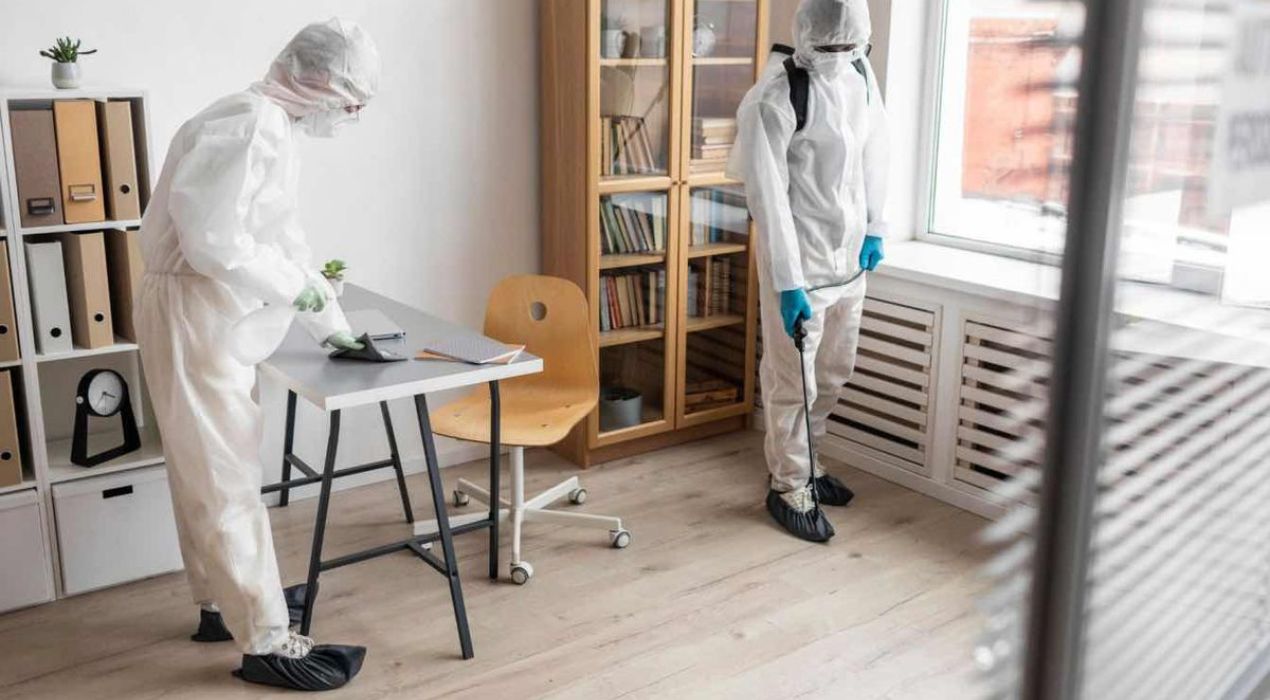 خطوات تنظيف المكاتب من الحشرات