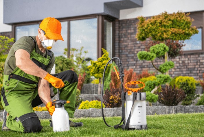 حلول مكافحة الحشرات الصديقة للبيئة