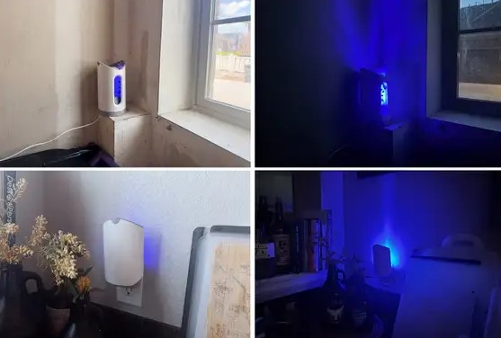 حلول مكافحة الحشرات الصديقة للبيئة