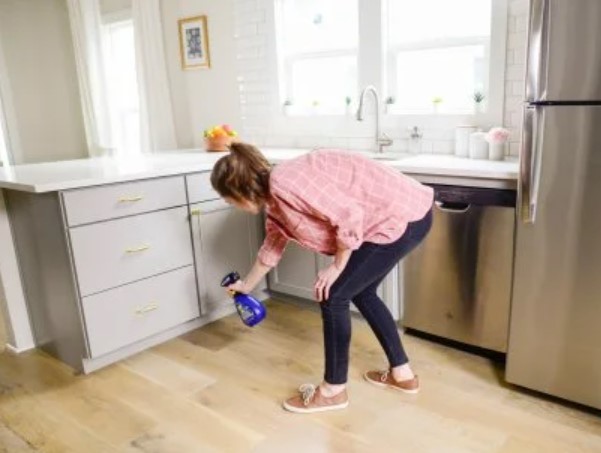 تنظيف المطابخ من الحشرات