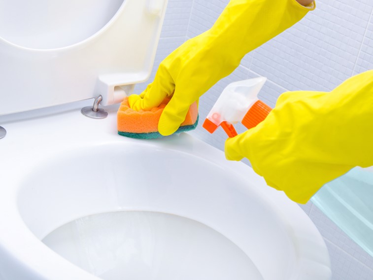 تنظيف دورات المياه من الحشرات