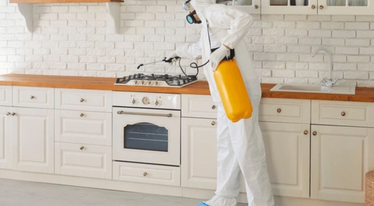 تنظيف المطابخ من الحشرات
