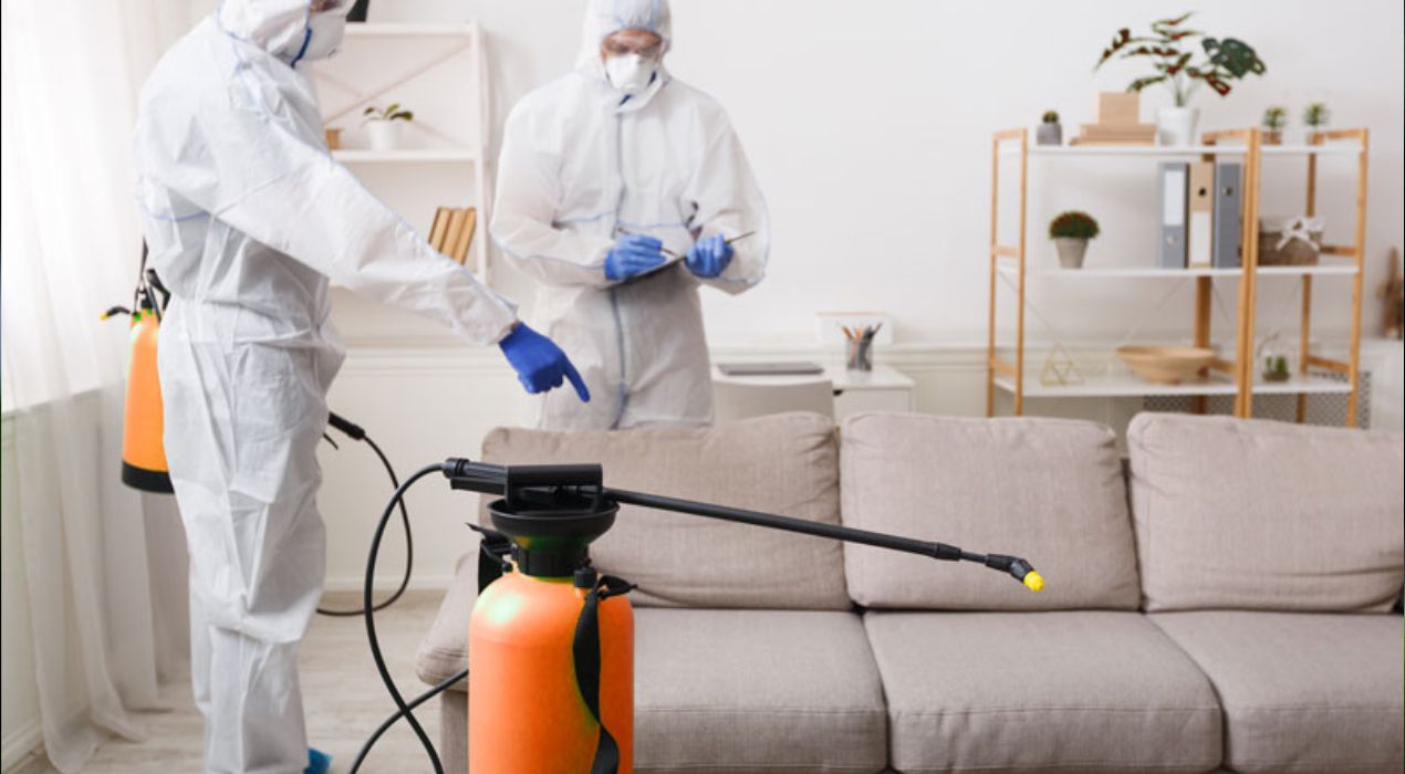 مكافحة الحشرات بدون رائحة