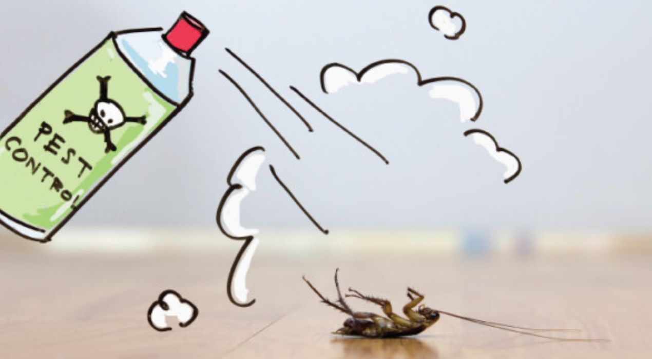 أفضل طرق الوقاية من الحشرات