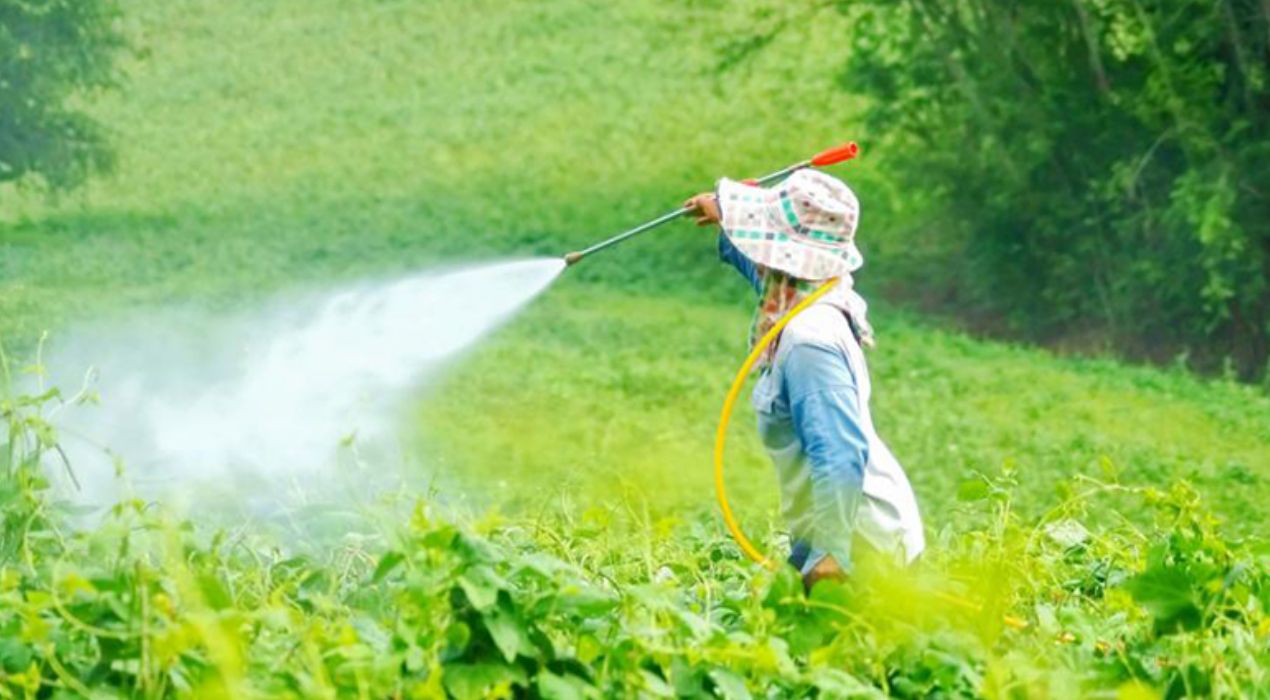 مبيدات آمنة للأطفال والحيوانات