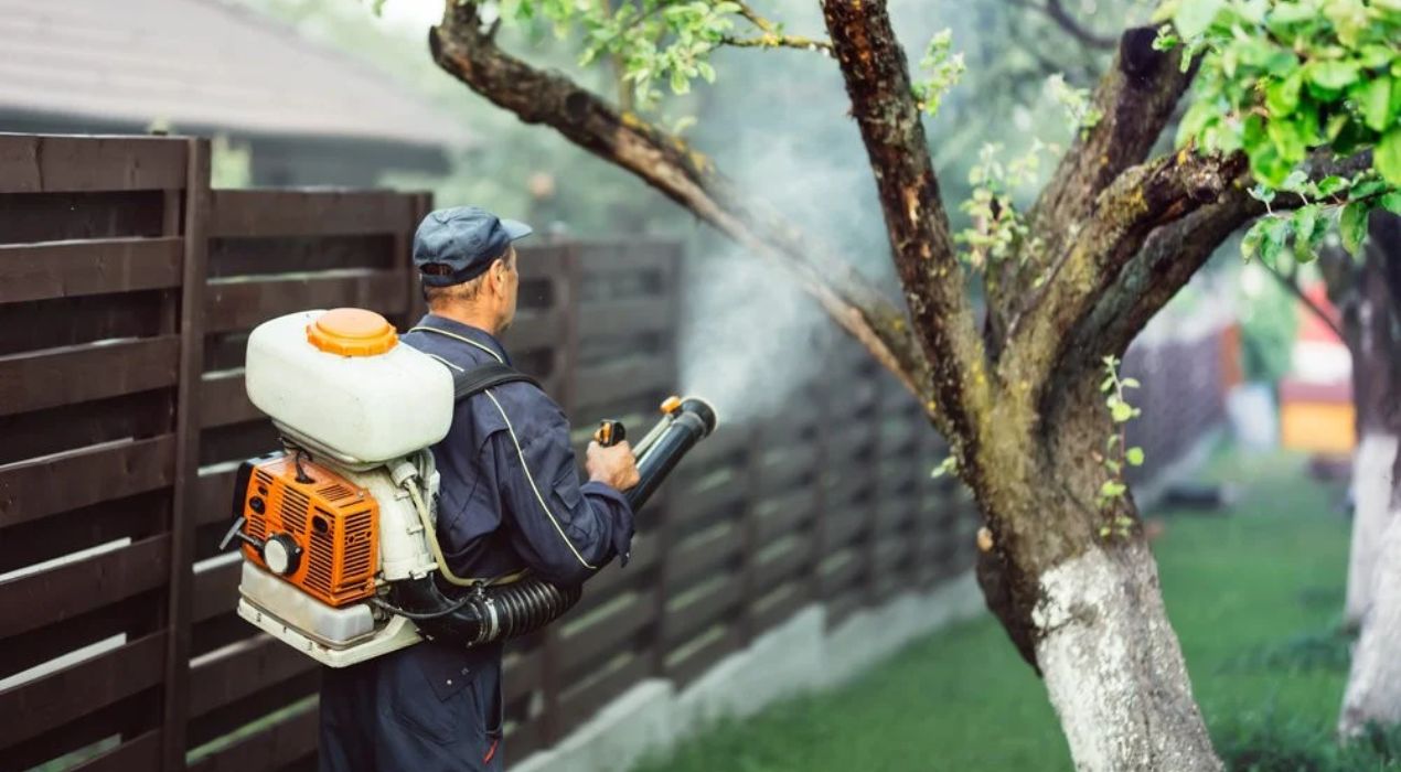 حلول مكافحة الحشرات الصديقة للبيئة