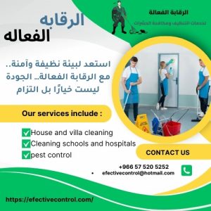 تنظيف المطابخ من الحشرات