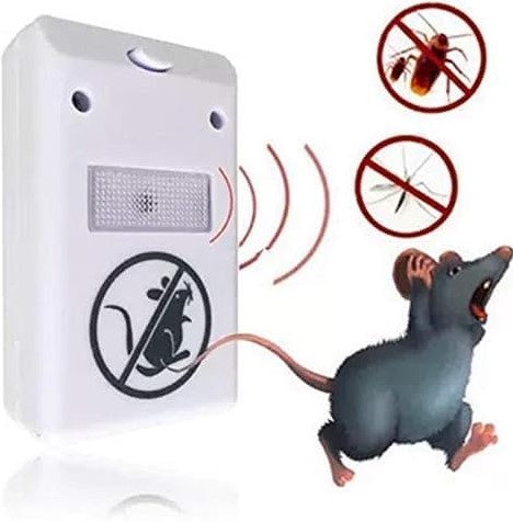 كيفية التخلص من الفئران بدون سم