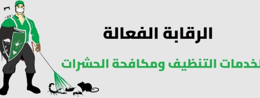 مكافحة الحشرات في فصل الصيف