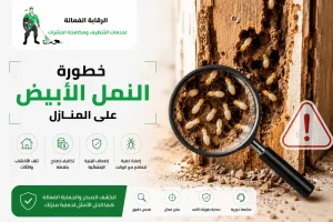 خطورة النمل الابيض