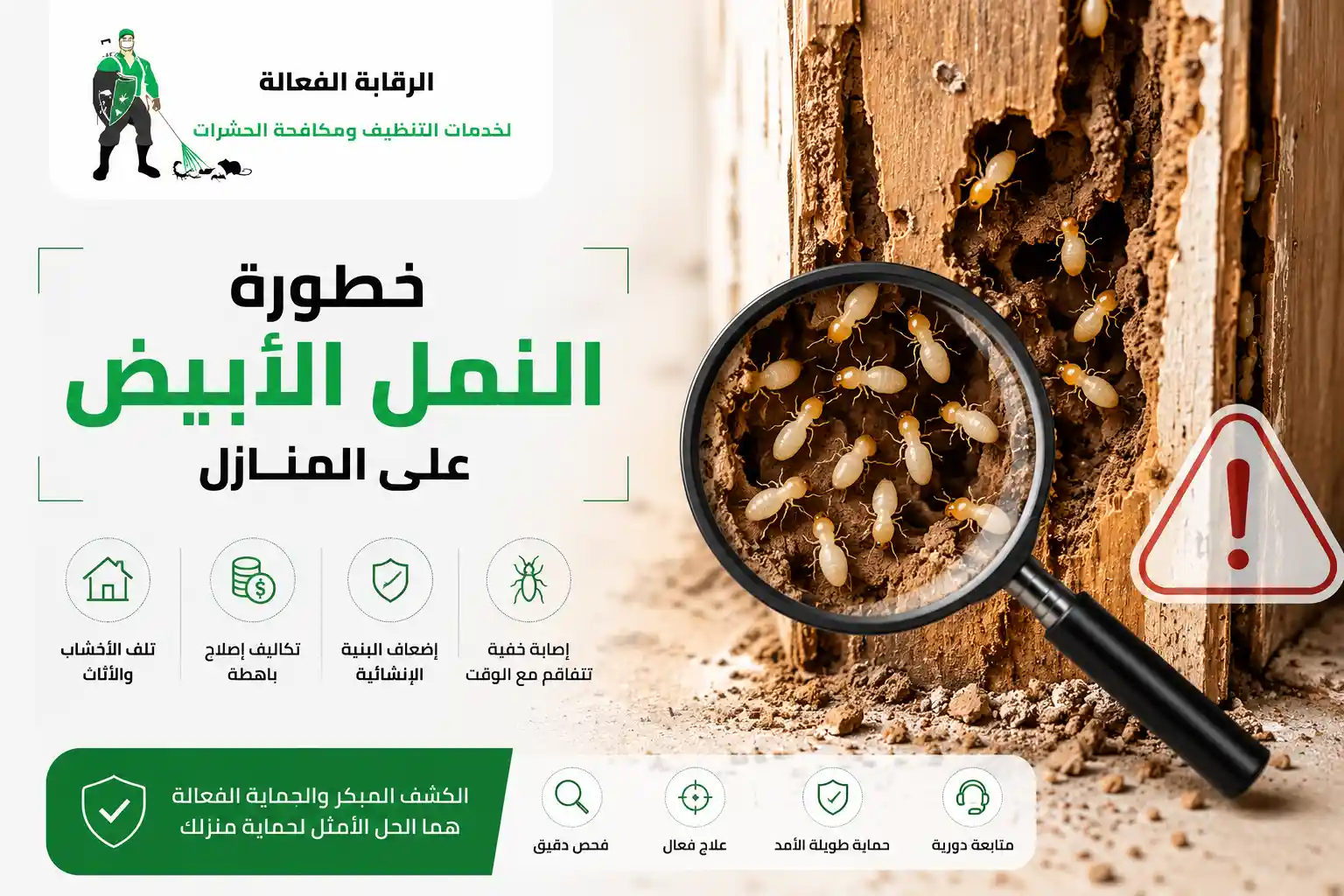 خطورة النمل الابيض
