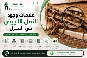 علامات وجود النمل الأبيض في المنزل