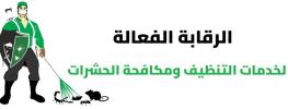 Capture-removebg-preview-1